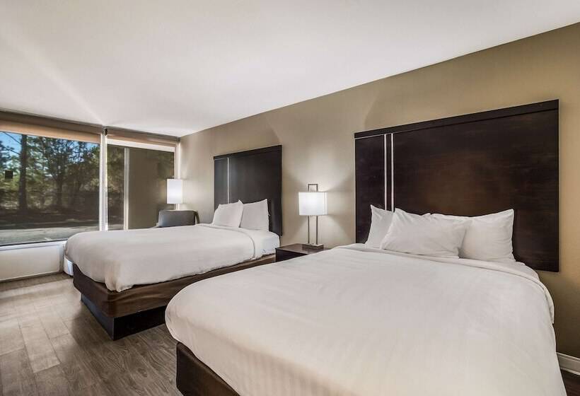 带2个双人床的标准工作室, Clarion Inn & Suites