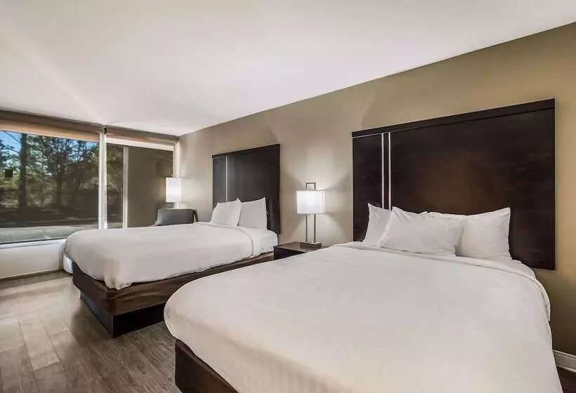 اتاق استاندارد با 2 تخت دوبل, Clarion Inn & Suites
