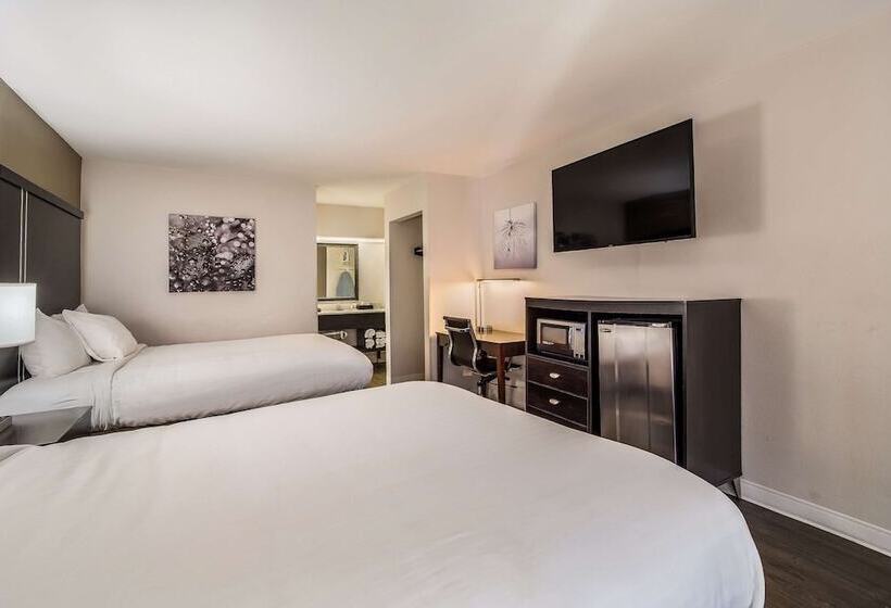 带2个双人床的标准工作室, Clarion Inn & Suites