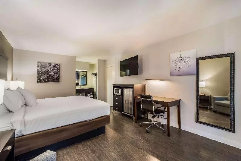 اتاق استاندارد با تخت بزرگ برای معلولان, Clarion Inn & Suites