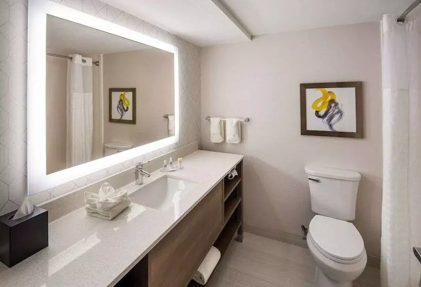 ２ダブルベッドのスタンダードルーム, Comfort Inn & Suites Fishers  Indianapolis