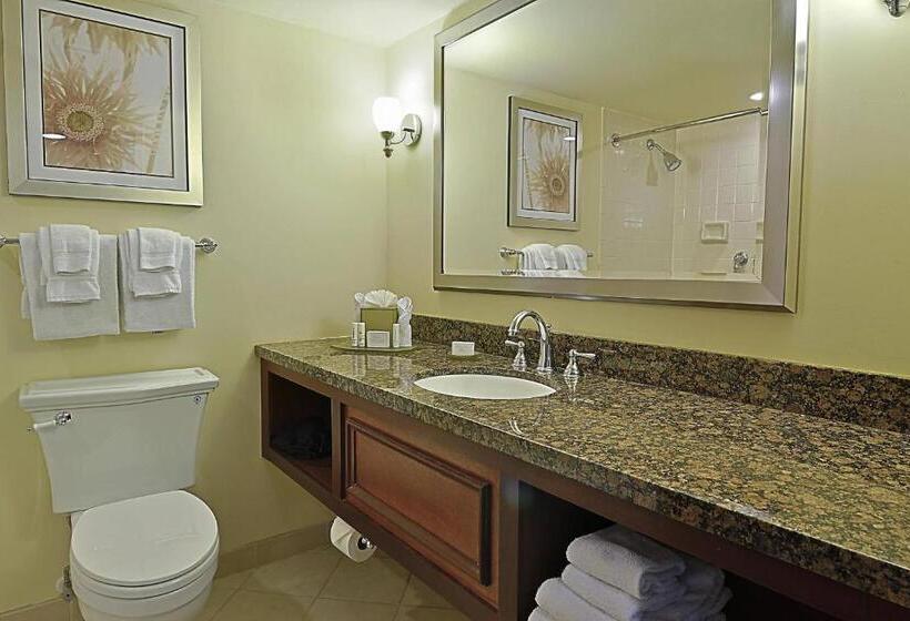 キングサイズベッドのスタンダードルーム, Courtyard By Marriott Bradenton Sarasota/riverfront