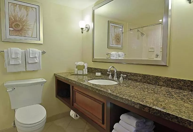 キングサイズベッドのスタンダードルーム, Courtyard By Marriott Bradenton Sarasota/riverfront