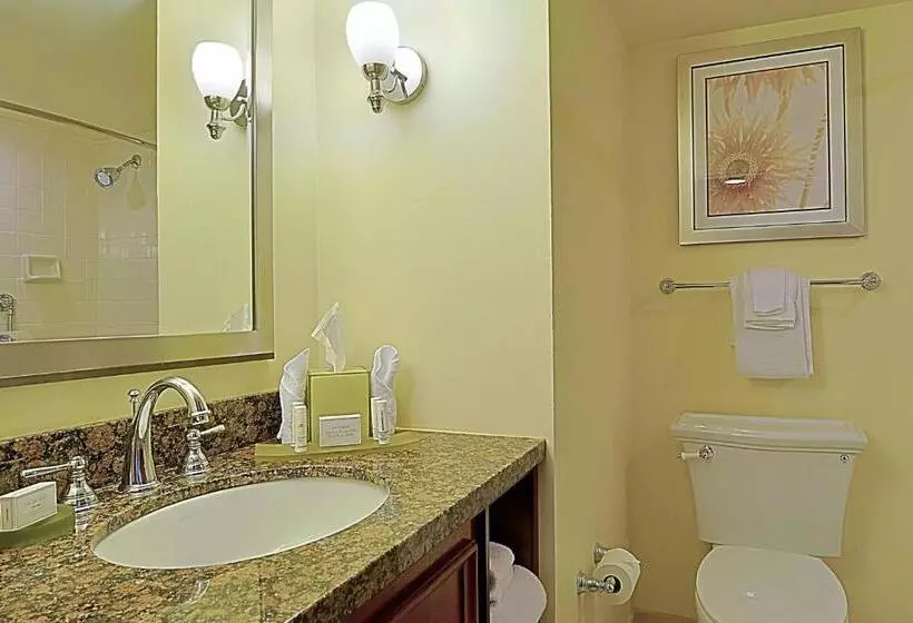 プールの見えるデラックスルーム, Courtyard By Marriott Bradenton Sarasota/riverfront