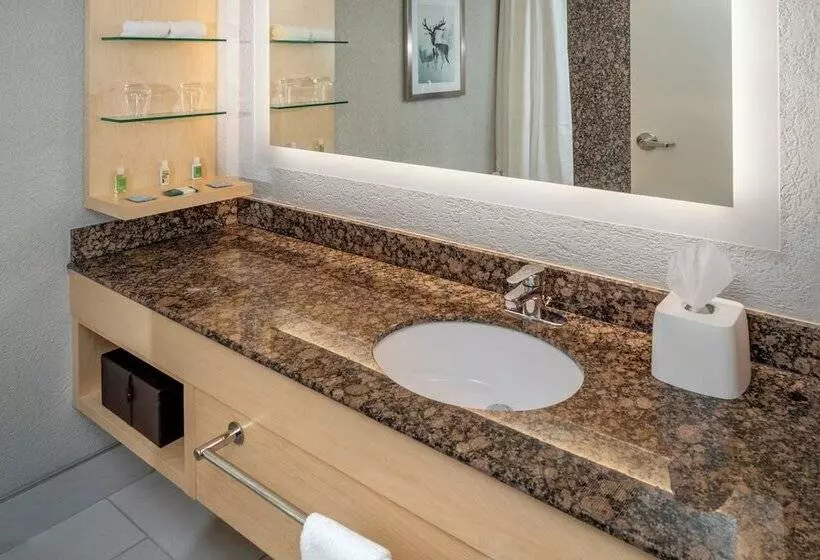 اتاق استاندارد, Delta Hotels By Marriott Huntington Downtown