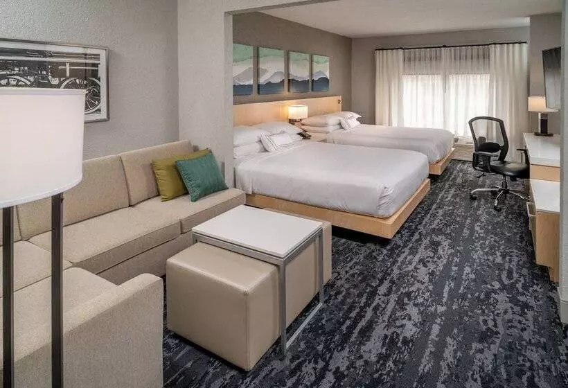 اتاق استاندارد, Delta Hotels By Marriott Huntington Downtown