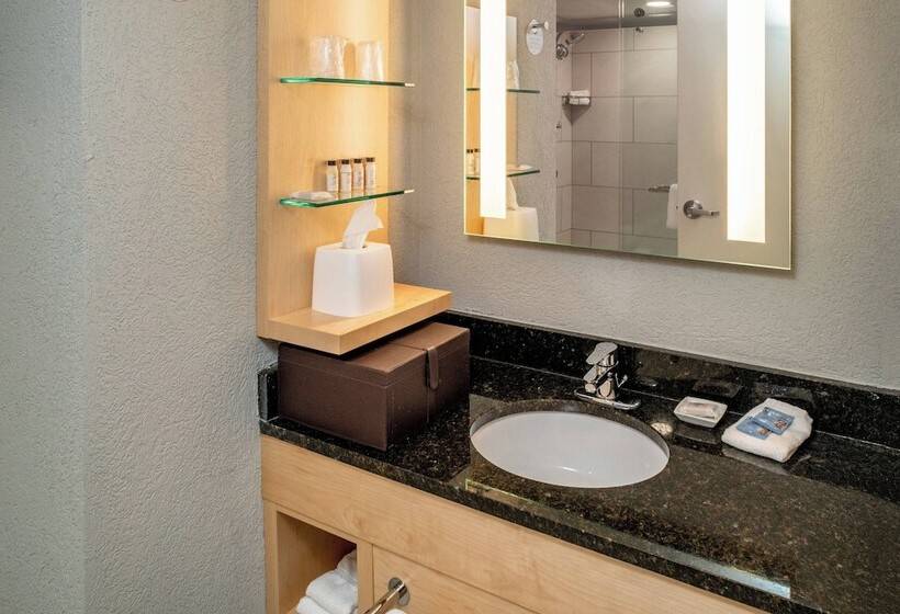 Президентский Люкс, Delta Hotels By Marriott Huntington Downtown