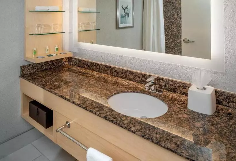 اتاق استاندارد, Delta Hotels By Marriott Huntington Downtown