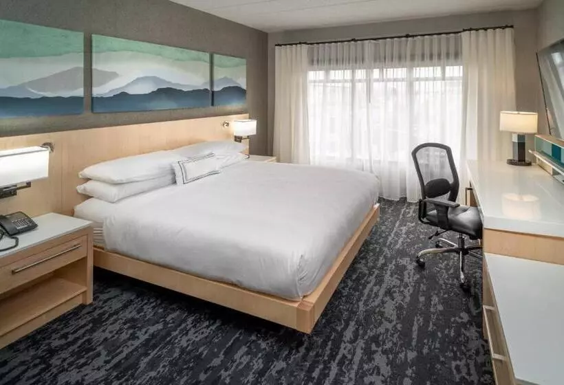 سوئیت اجرایی با تخت کینگ, Delta Hotels By Marriott Huntington Downtown