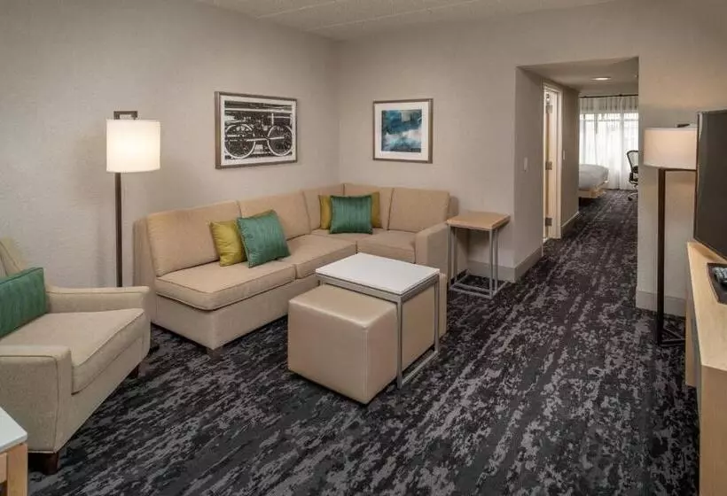 سوئیت اجرایی با تخت کینگ, Delta Hotels By Marriott Huntington Downtown