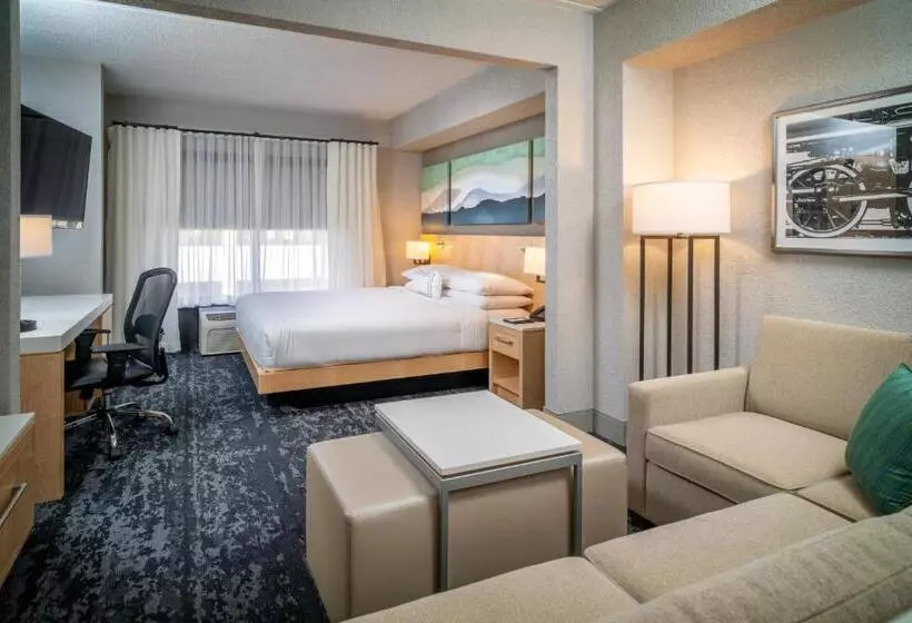 اتاق استاندارد با تخت بزرگ, Delta Hotels By Marriott Huntington Downtown