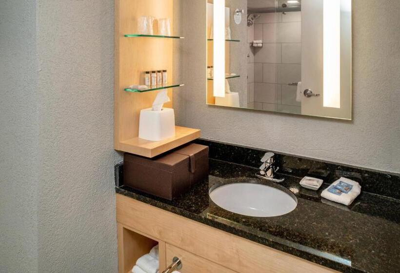 프레지덴셜 스위트, Delta Hotels By Marriott Huntington Downtown