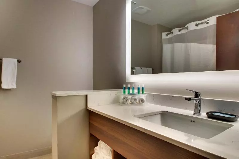 Standard-huone, Holiday Inn Express & Suites Helen, An Ihg