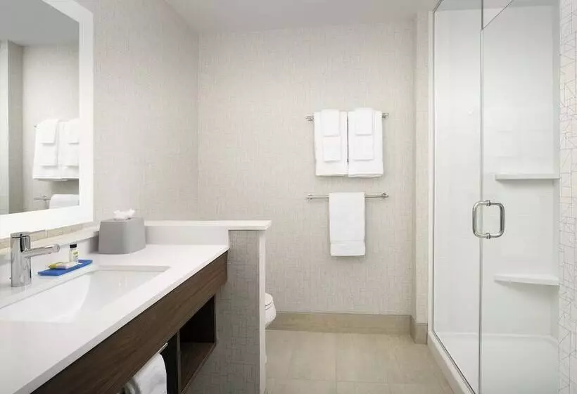 Standard-huone, Holiday Inn Express Knoxville Strawberry Plains, An Ihg