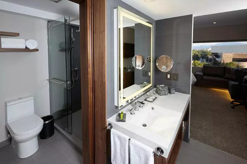 Standard-huone King-vuode, Holiday Inn Express Knoxville Strawberry Plains, An Ihg