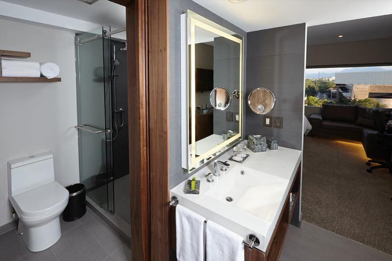 스탠다드 룸 킹사이즈 침대, Holiday Inn Express Knoxville Strawberry Plains, An Ihg