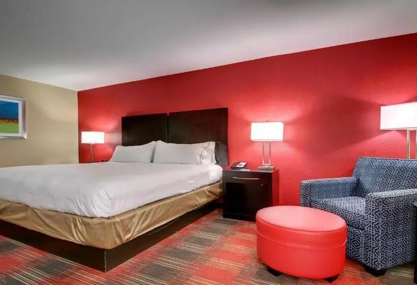 اتاق استاندارد با تخت بزرگ, Holiday Inn Express & Suites Jackson Downtown   Coliseum, An Ihg
