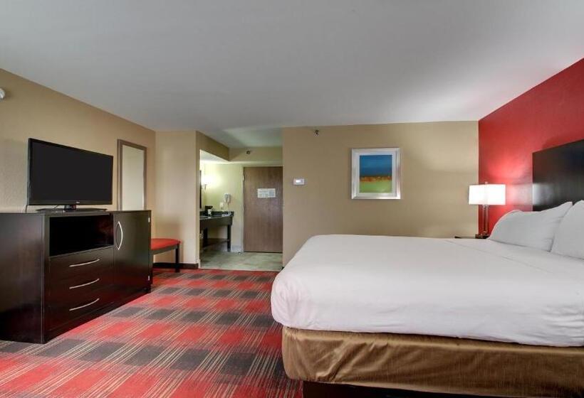 스탠다드 룸 킹사이즈 침대, Holiday Inn Express & Suites Jackson Downtown   Coliseum, An Ihg