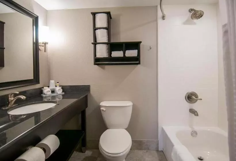 اتاق استاندارد با تخت بزرگ, Holiday Inn Express & Suites Jackson Downtown   Coliseum, An Ihg