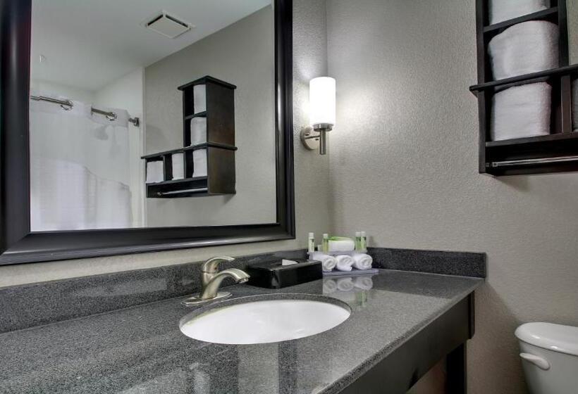 스위트, Holiday Inn Express & Suites Jackson Downtown   Coliseum, An Ihg