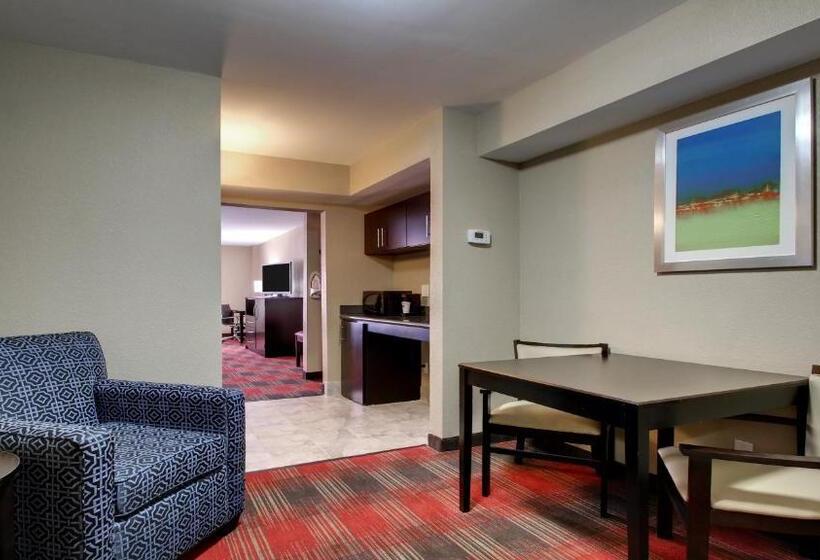 스위트 킹사이즈 침대, Holiday Inn Express & Suites Jackson Downtown   Coliseum, An Ihg