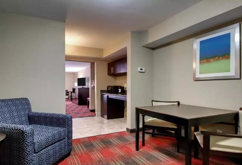 سوئیت با تخت بزرگ, Holiday Inn Express & Suites Jackson Downtown   Coliseum, An Ihg