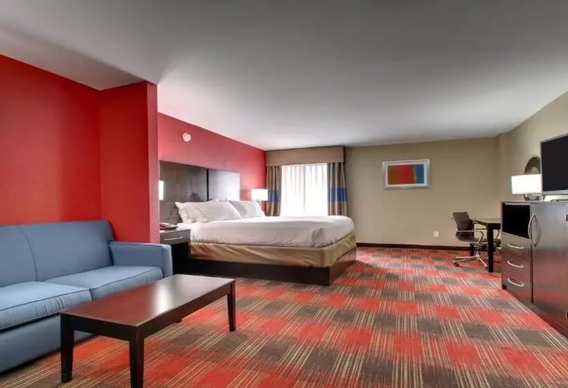 سوئیت با تخت بزرگ, Holiday Inn Express & Suites Jackson Downtown   Coliseum, An Ihg
