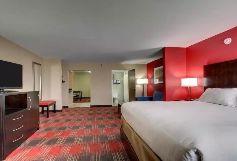 سوئیت با تخت بزرگ, Holiday Inn Express & Suites Jackson Downtown   Coliseum, An Ihg