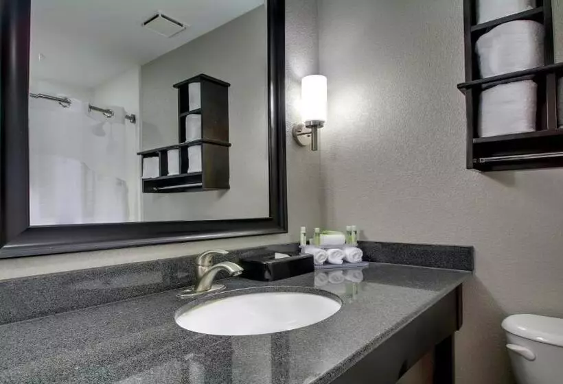 سوئیت با تخت بزرگ, Holiday Inn Express & Suites Jackson Downtown   Coliseum, An Ihg