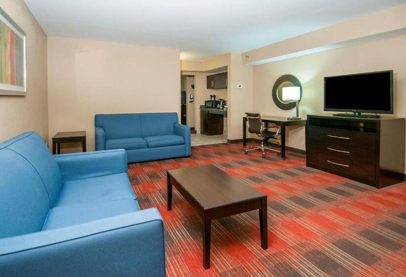 스위트 킹사이즈 침대, Holiday Inn Express & Suites Jackson Downtown   Coliseum, An Ihg