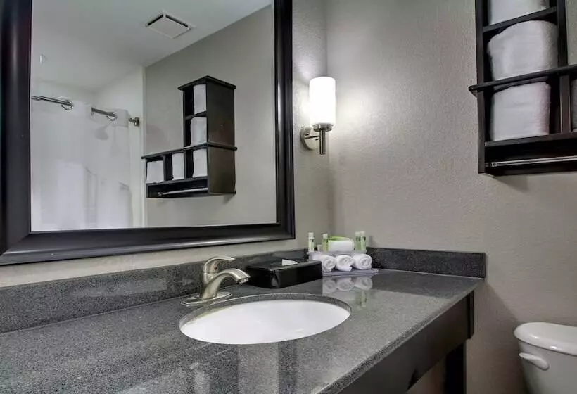 سوییت, Holiday Inn Express & Suites Jackson Downtown   Coliseum, An Ihg