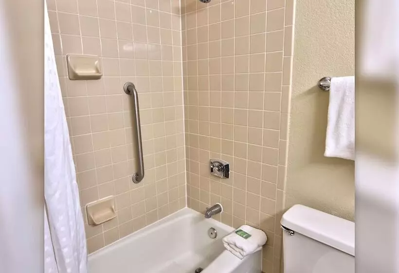 اتاق استاندارد, Holiday Inn St. Petersburg N   Clearwater, An Ihg