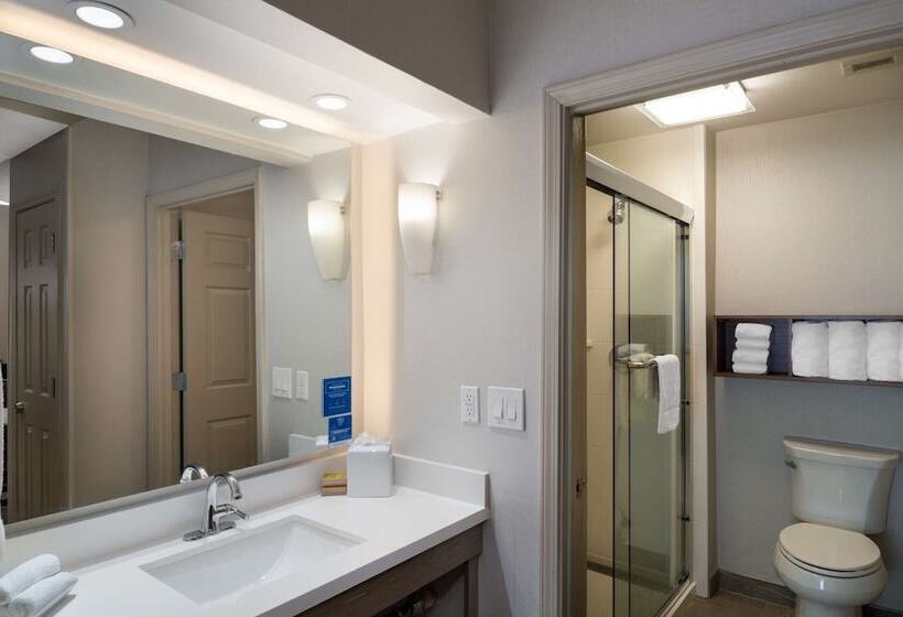 适合残疾人士使用的套间, Homewood Suites By Hilton Memphisgermantown