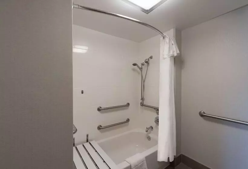 身障者適用スイートルーム, Homewood Suites By Hilton Memphisgermantown