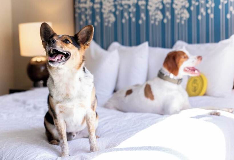 스위트, Magnolia Hotel Denver, A Tribute Portfolio