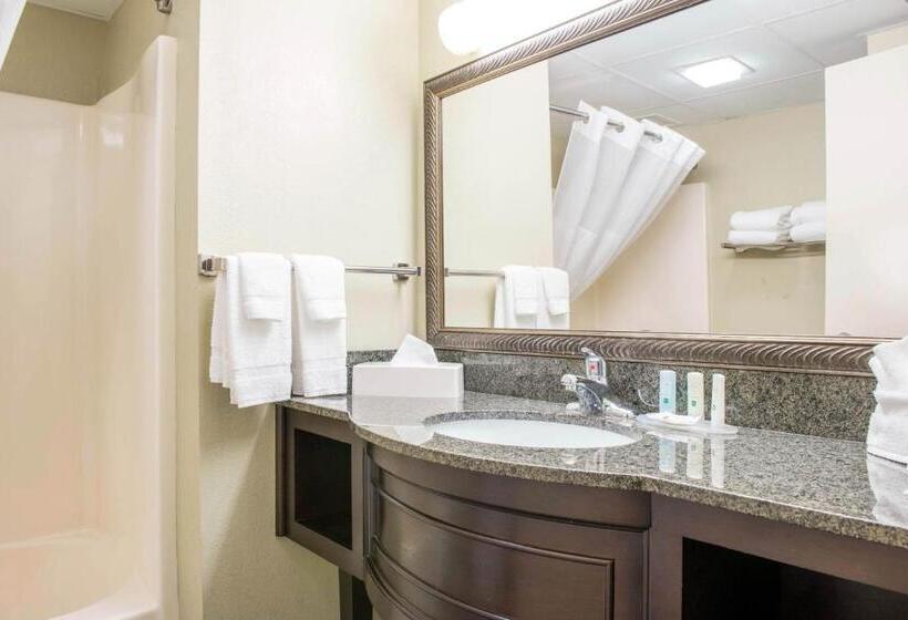 Номер Стандарт 2 Двуспальные Кровати, Quality Inn Festus
