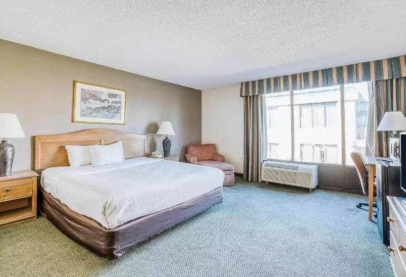 اتاق استاندارد با تخت بزرگ, Oyo Hotel Monroe La I 20