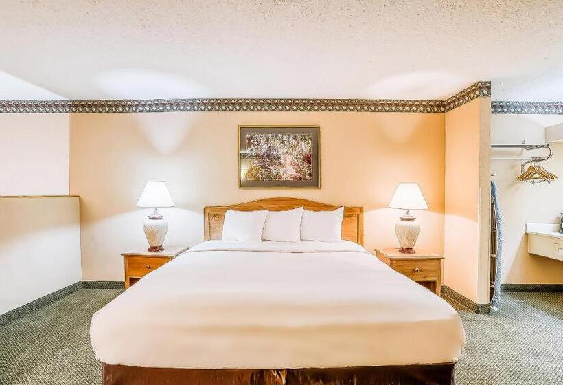 غرفة قياسية سرير كينج, Oyo Hotel Monroe La I 20