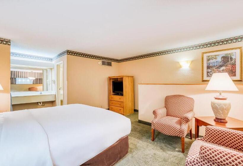 اتاق استاندارد با تخت دو نفره بزرگ برای معلولان, Oyo Hotel Monroe La I 20