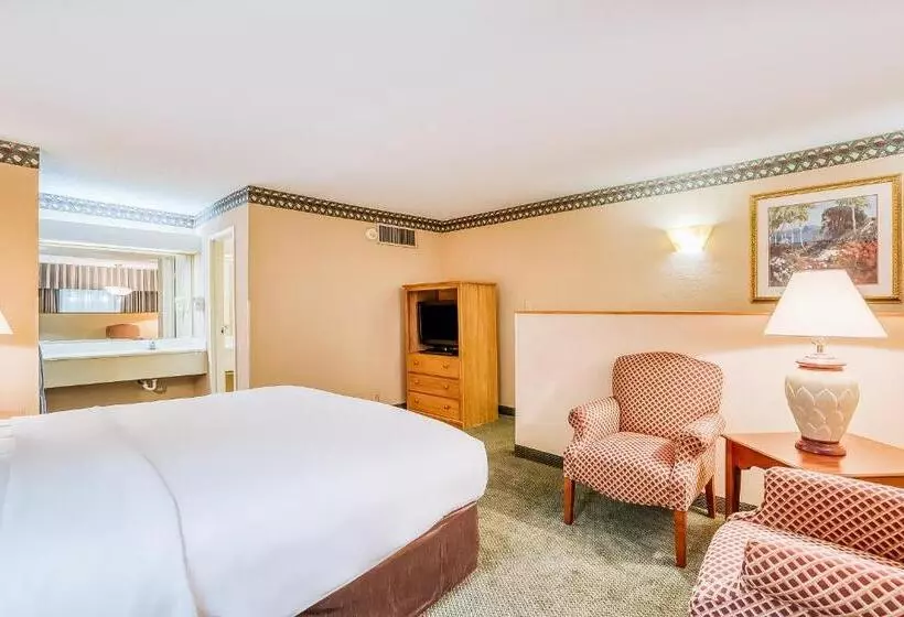 اتاق استاندارد با تخت دو نفره بزرگ برای معلولان, Oyo Hotel Monroe La I 20