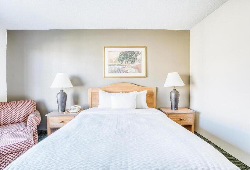 غرفة قياسية سرير ملكى لذوى الإحتياجات الخاصة, Oyo Hotel Monroe La I 20