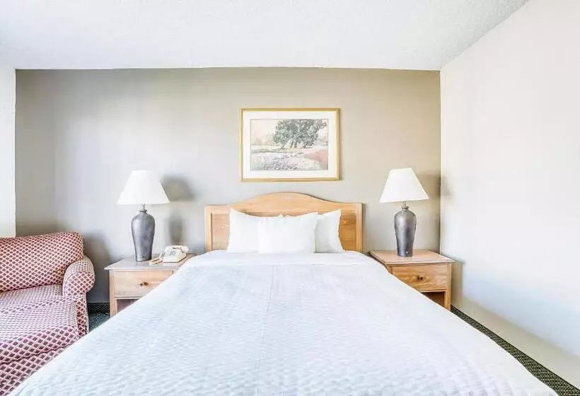 اتاق استاندارد با تخت دو نفره بزرگ برای معلولان, Oyo Hotel Monroe La I 20