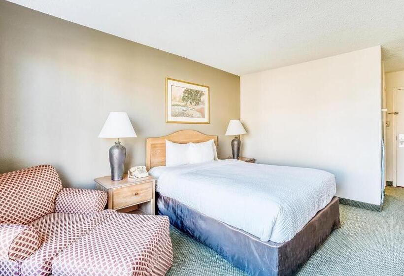 غرفة قياسية سرير ملكى لذوى الإحتياجات الخاصة, Oyo Hotel Monroe La I 20