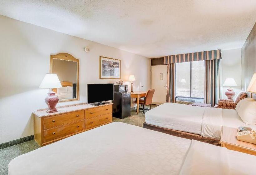 اتاق استاندارد با 2 تخت دوبل, Oyo Hotel Monroe La I 20