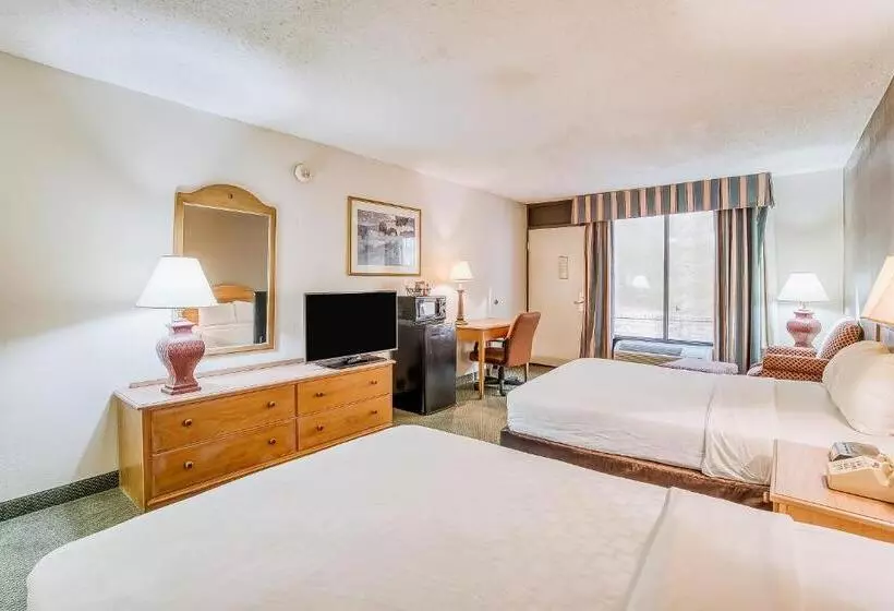 اتاق استاندارد با 2 تخت دوبل, Oyo Hotel Monroe La I 20