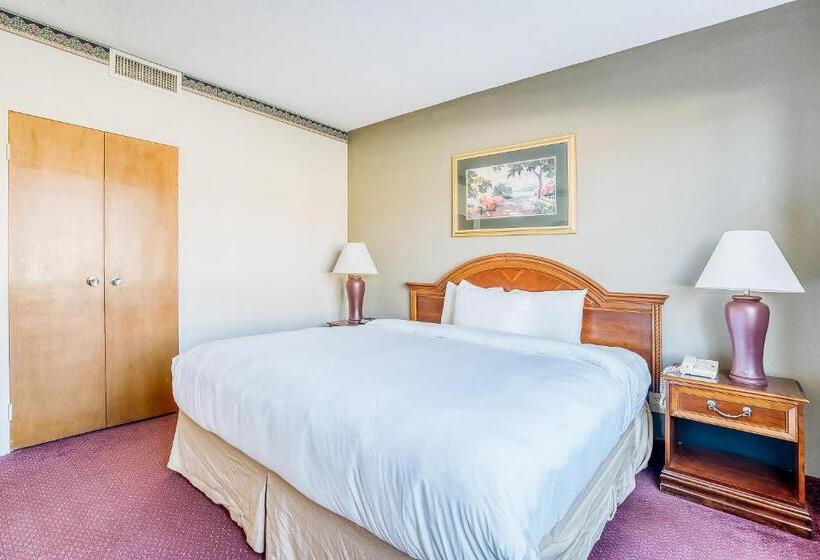 جناح, Oyo Hotel Monroe La I 20