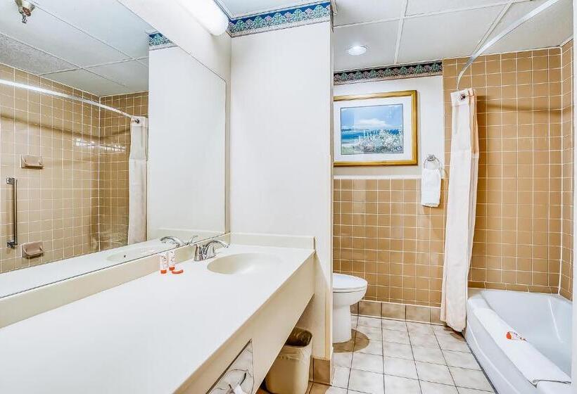 سوییت, Oyo Hotel Monroe La I 20