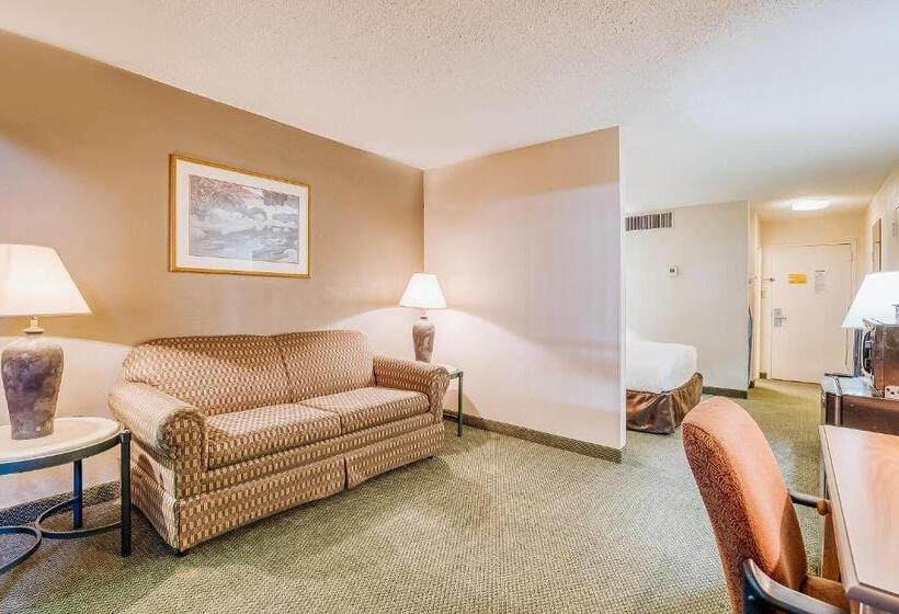 جناح جونيور, Oyo Hotel Monroe La I 20