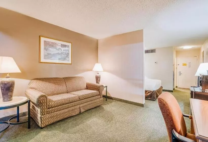 سوییت جونیور, Oyo Hotel Monroe La I 20