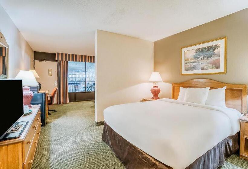 جناح جونيور, Oyo Hotel Monroe La I 20